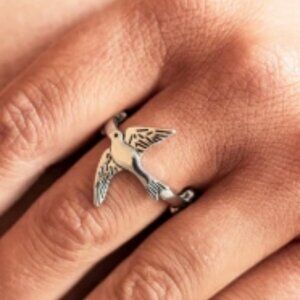 10 rings for $15 TOTALLY TWEET-TERPATED Bird Silver Tone NEW Paparazzi Ring